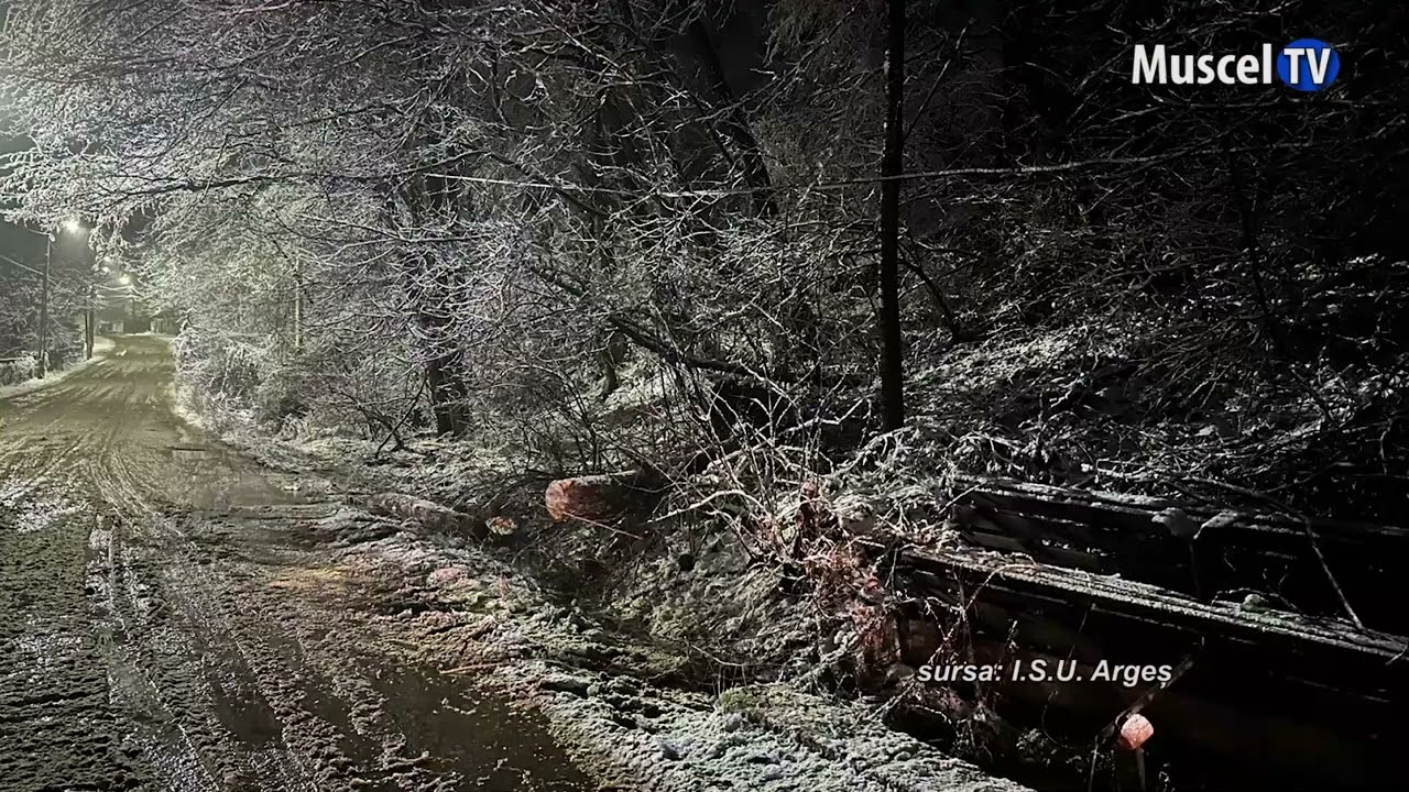 jurnal MUSCEL TV 18 02 2026 COPACI CĂZUȚI PE MAȘINI, DIN CAUZA VIJELIEI