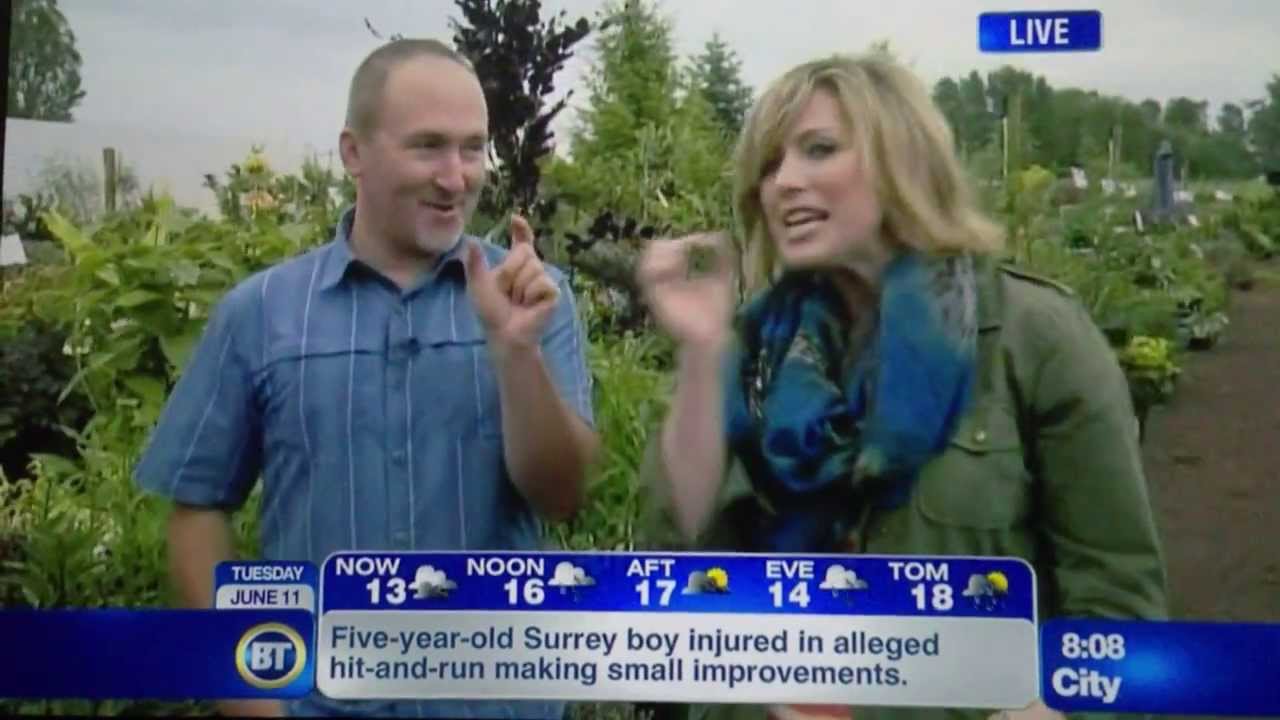 Exotic Plants Spot -- Breakfast Television, CityTV at Phoenix Perennials