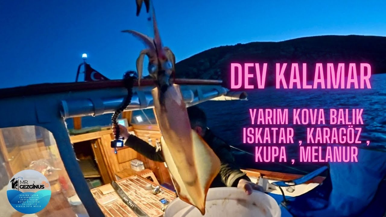 DEV KALAMAR - YARIM KOVA BALIK -BOZCAADANIN DOĞASI | Balık Avı Macerası