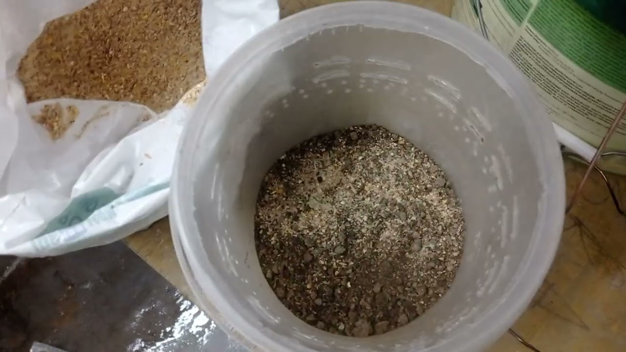 Moučn&yacute; červ (Potemn&iacute;k moučn&yacute;). Prvn&iacute; v&yacute;sledky - prvn&iacute; vaj&iacute;čka a červ&iacute;ci zvl&aacute;&scaron;ť do chovn&eacute; n&aacute;doby.