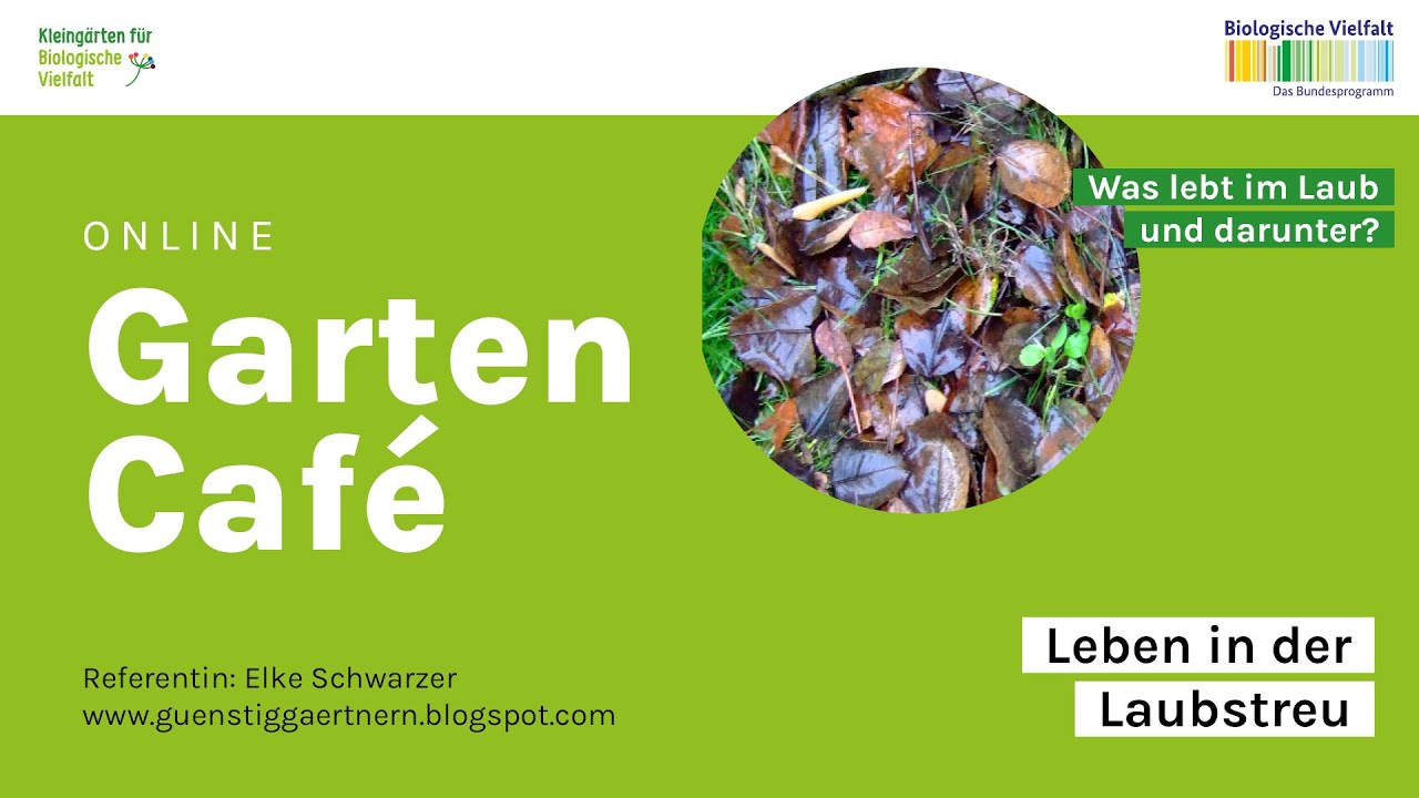 Mitschnitt Online Gartencafe | 