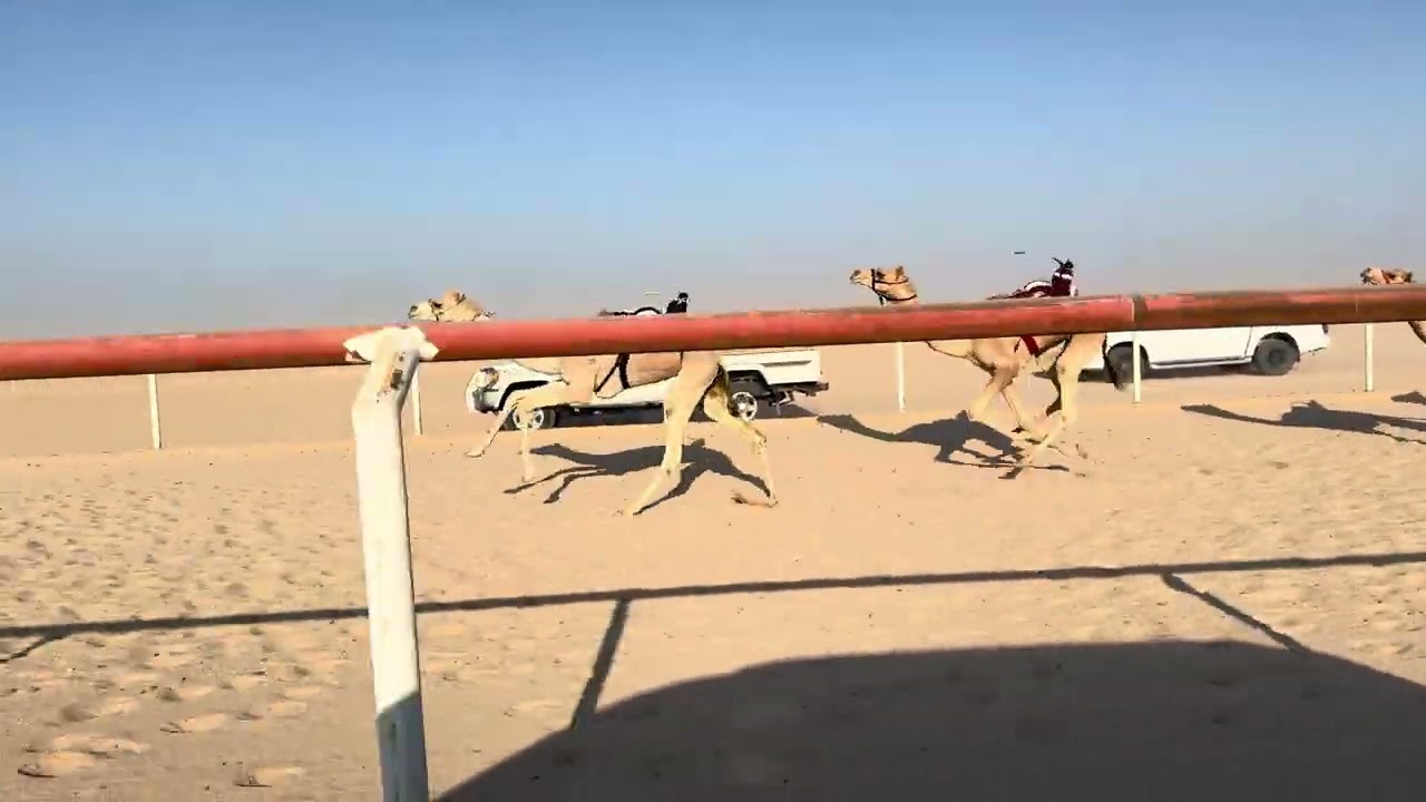 الشوط الرابع عشر 