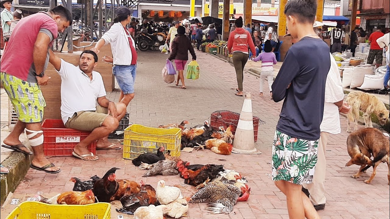 FEIRA LIVRE DE SAO BENEDITO CEARÁ 15/03/25