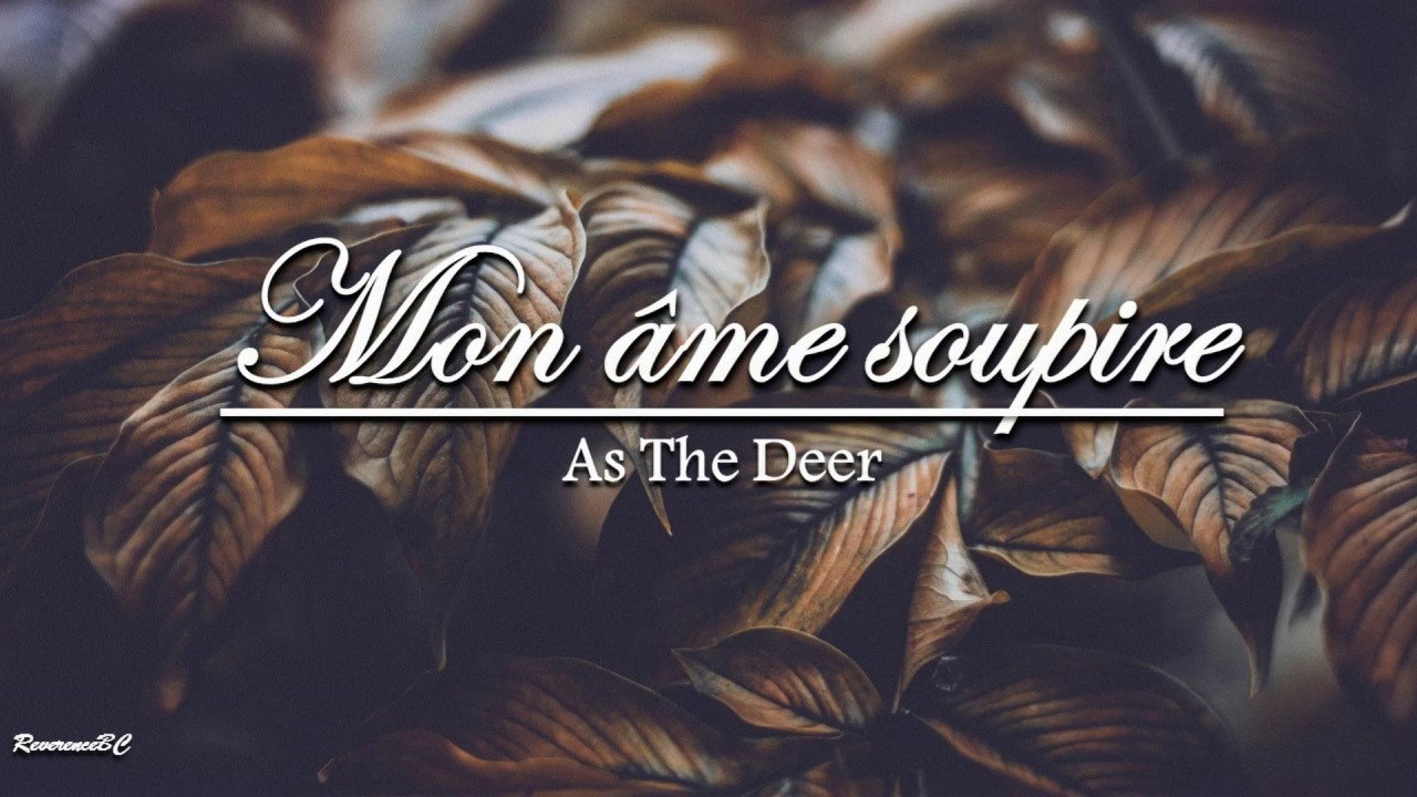 Mon âme soupire / As The Deer french version / Musique Chrétienne 2020