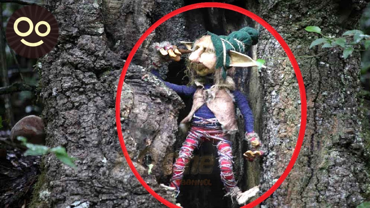 8 Creepy Real Goblins Caught on Video and Seen in Real Life