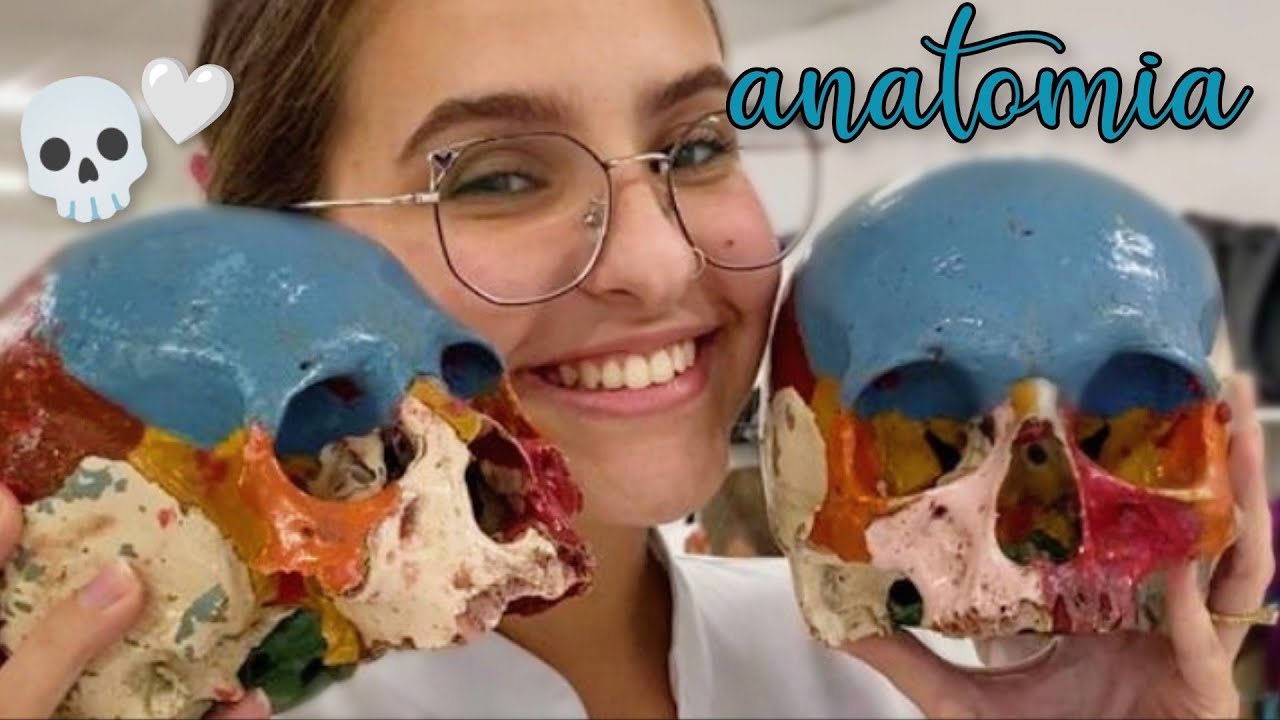 AULA PRÁTICA DE ANATOMIA - MONITORA DE ANATOMIA, ENFERMAGEM