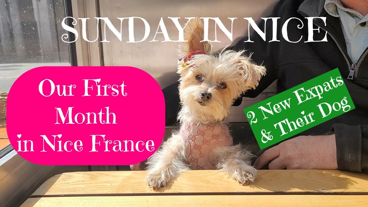 FUN IN THE FRENCH RIVIERA: OUR FIRST MONTH LIVING IN FRANCE