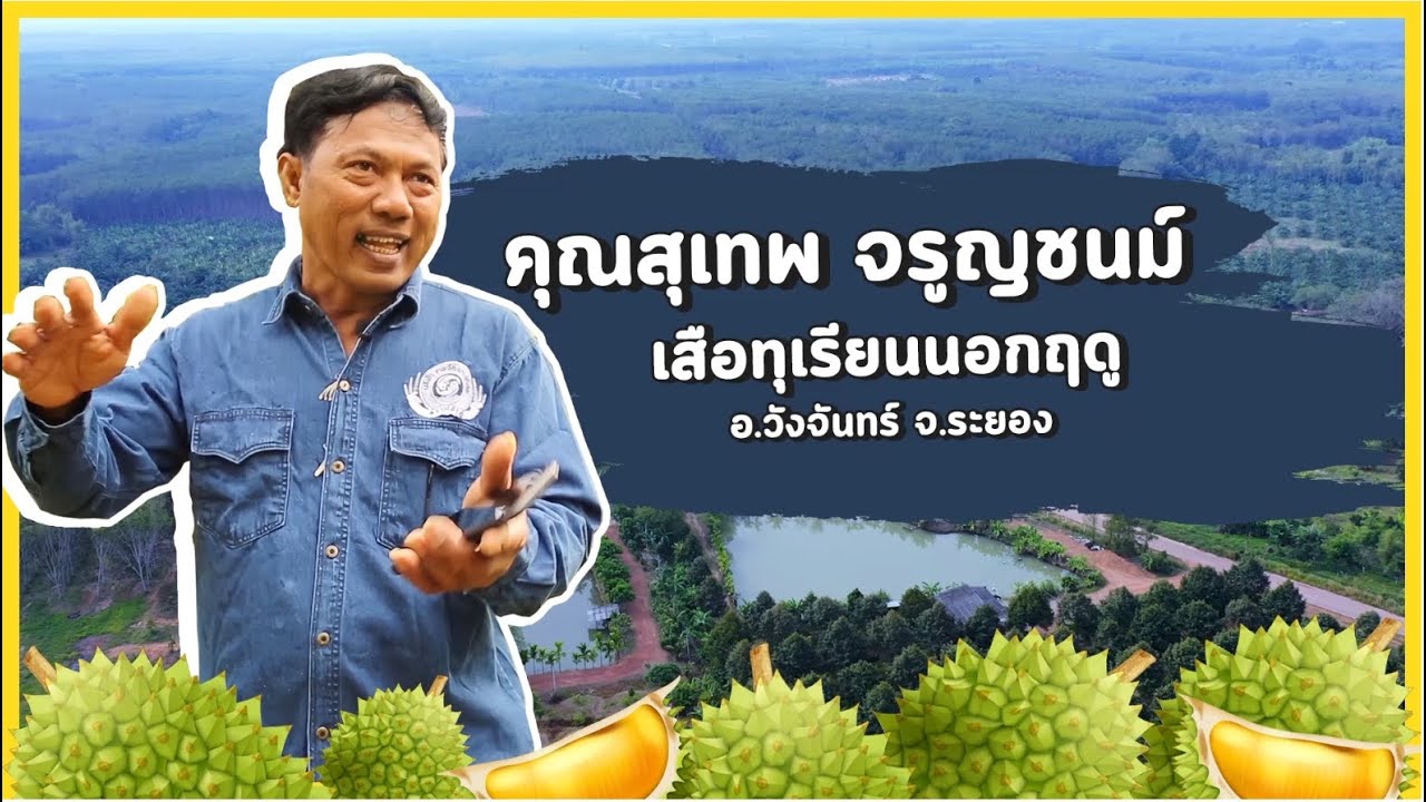 เทคนิคดีๆการทำทุเรียนนอกฤดู ฉบับ