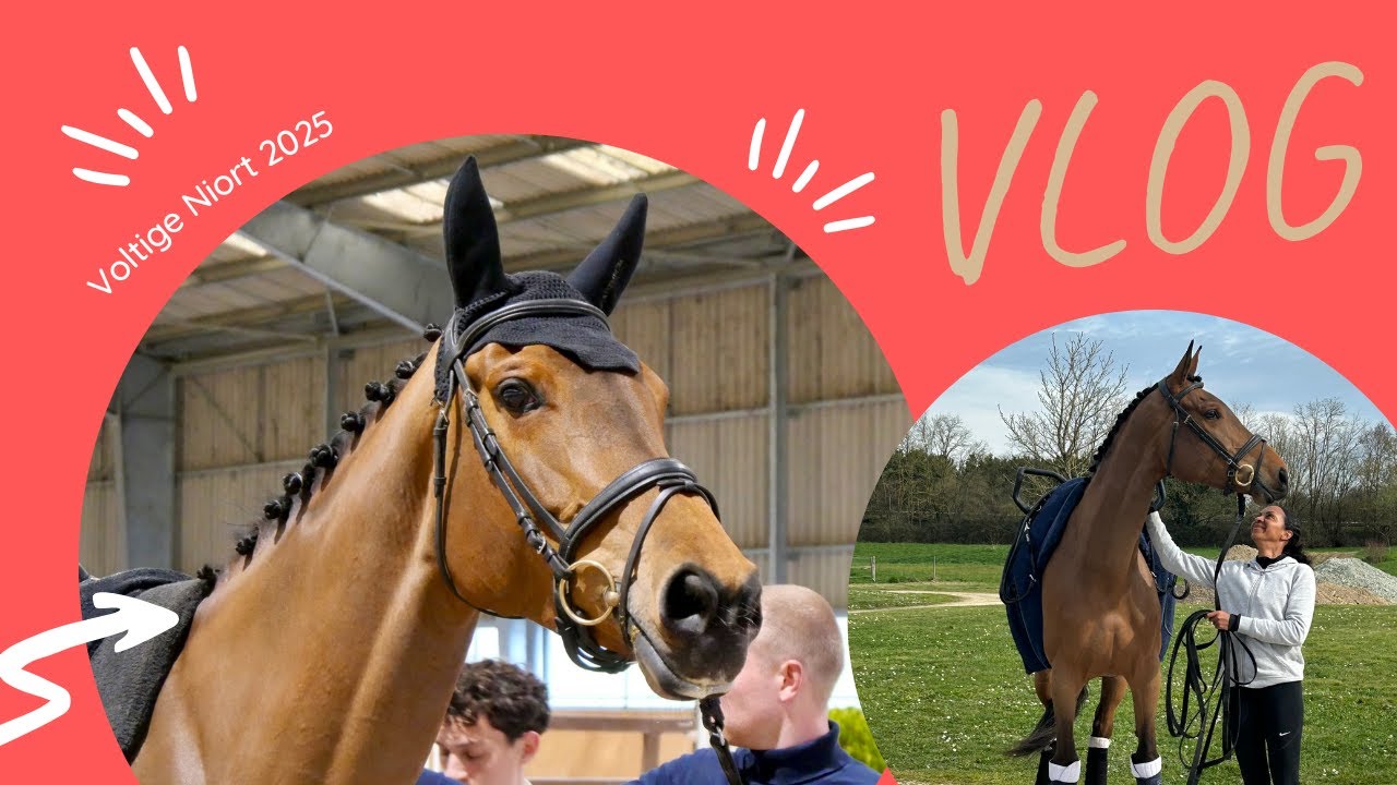 Immersion au concours de Voltige Équestre de Niort 2025