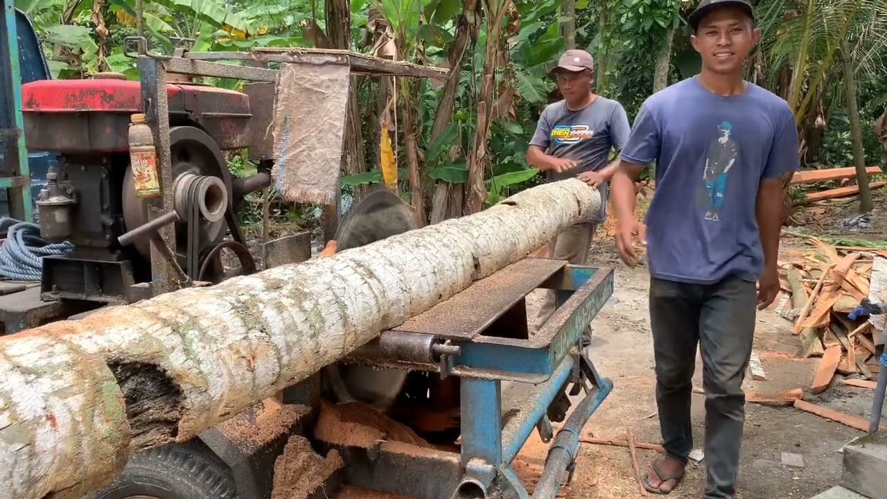 Ketajaman mata serkel mengiris kayu kelapa tua
