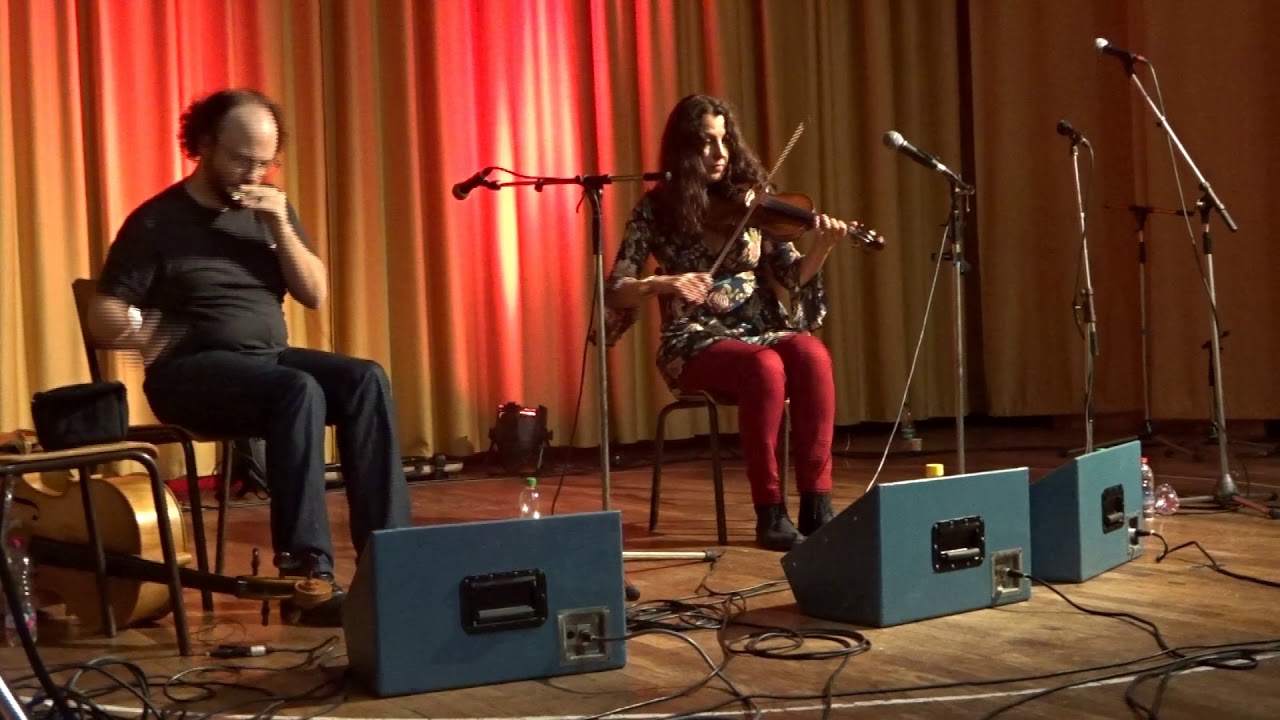 Kilglass lasses / Happy to meet, sorry to part (irish jigs) - Muscade - Harmonica & Fiddle