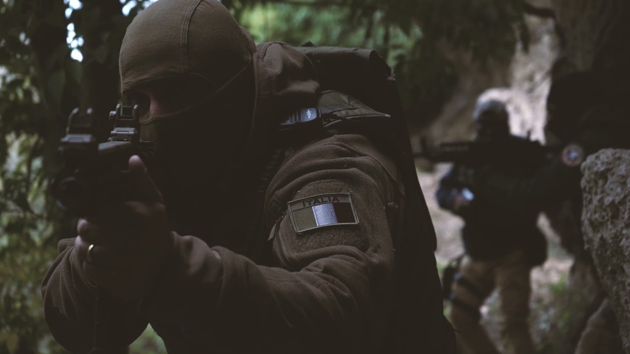 Explosive Detection Dog