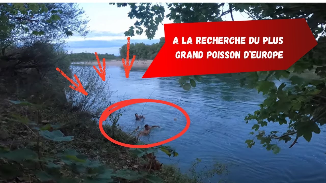 A LA RECHERCHE DU PLUS GROS POISSON D'EUROPE !!! (mon premier silure)