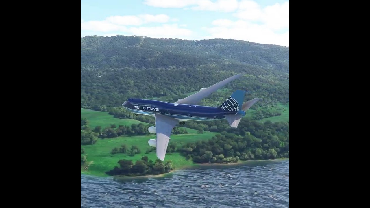 the pilot's actions endangered the plane's passengers EP277