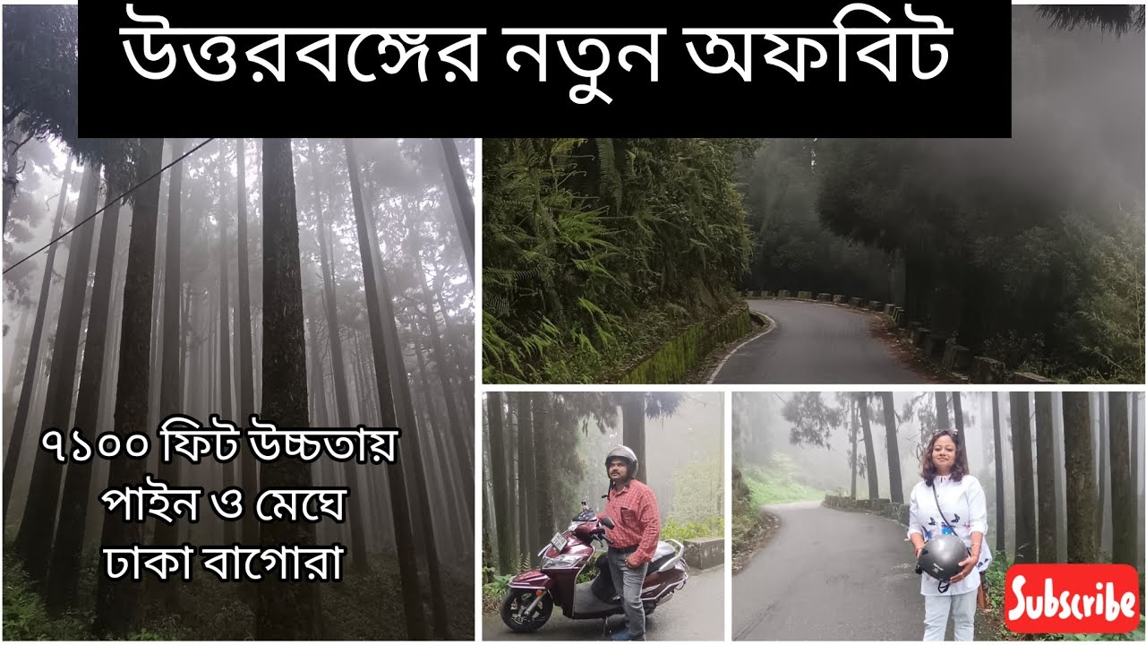 Bagora Forest || North Bengal Offbeat || Kurseong || Chimney || Dowhill @thebongvisitors7554