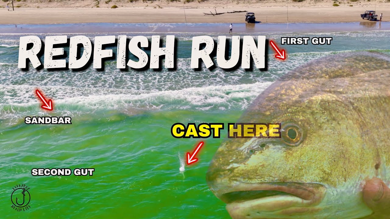 Where the Redfish Run? Surf Fishing (Corpus Christi, TX)