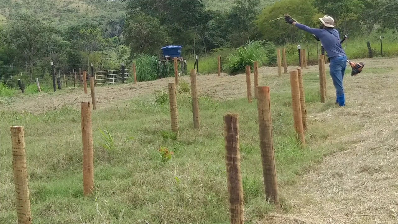 Olha o que fiz com meu capim vaqueiro