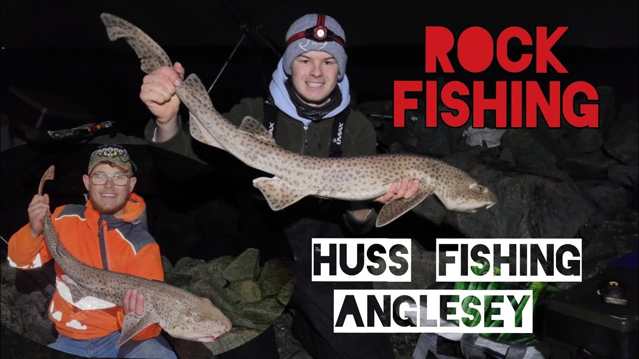 Rock fishing - Huss fishing Anglesey
