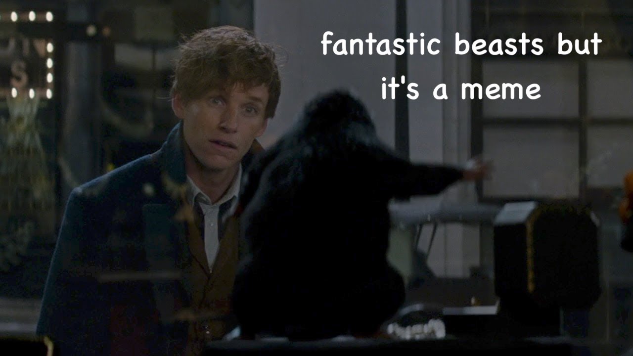 fantastic beasts but it's a meme