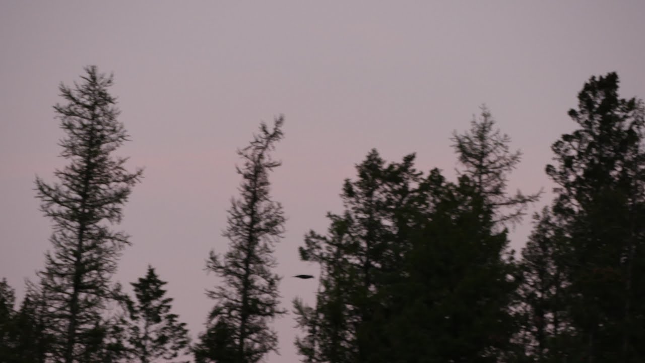 indie folk / phoebe bridgers / bon iver type beat &ldquo;happens all the time&rdquo;