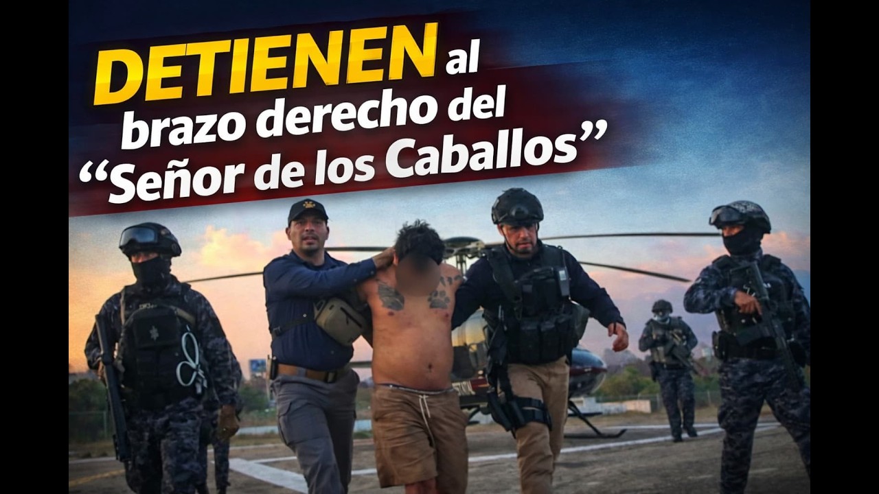 Noticiero en vivo