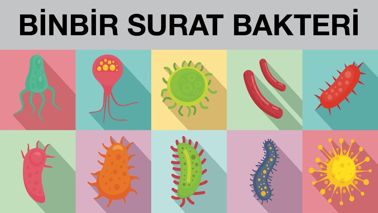 Binbir Surat Bakteri | Prof. Dr. Barbaros Çetin