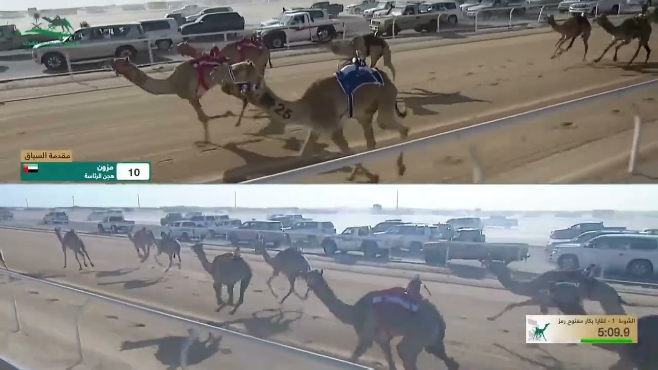 الشوط 1 كأس لقايا بكار مفتوح مساء يوم الاثنين 2-12-2024 من #كأس_وزارة_الرياضة_للهجن