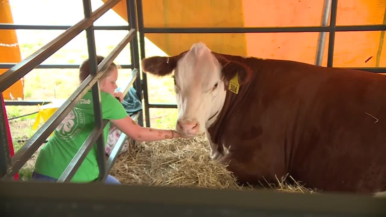 Wisconsin Farm Technology Days celebrates 72 years of agricultural innovation