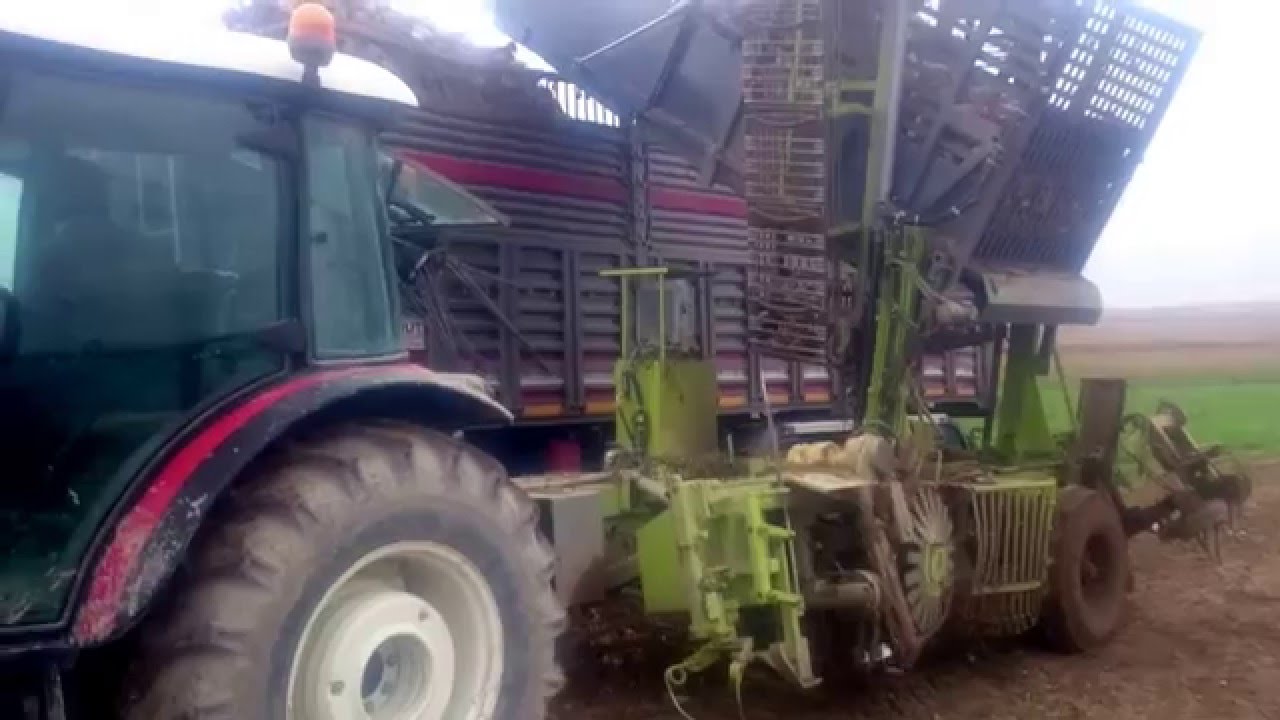 barış makine ve erkunt pancar hasat
