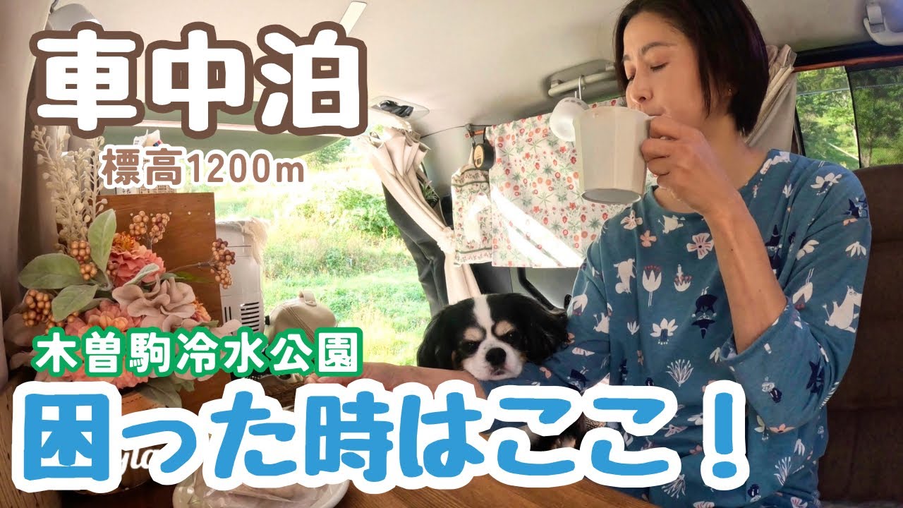 困った時は無料なのに高規格な標高1200mですごす50代看護師と犬1匹。木曽駒冷水公園で車中泊。