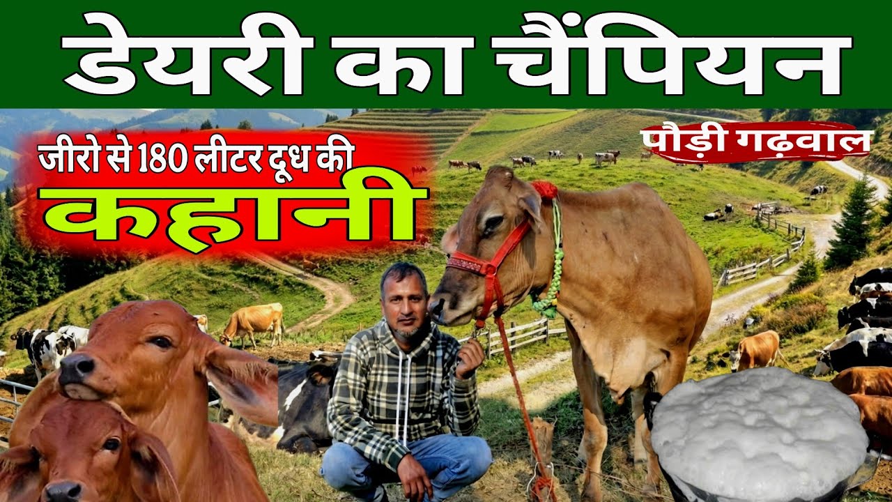 पहाड़ का डेयरी चैंपियन | संघर्ष से सफलता तक की कहानी | 180 लीटर का चमत्कार 
