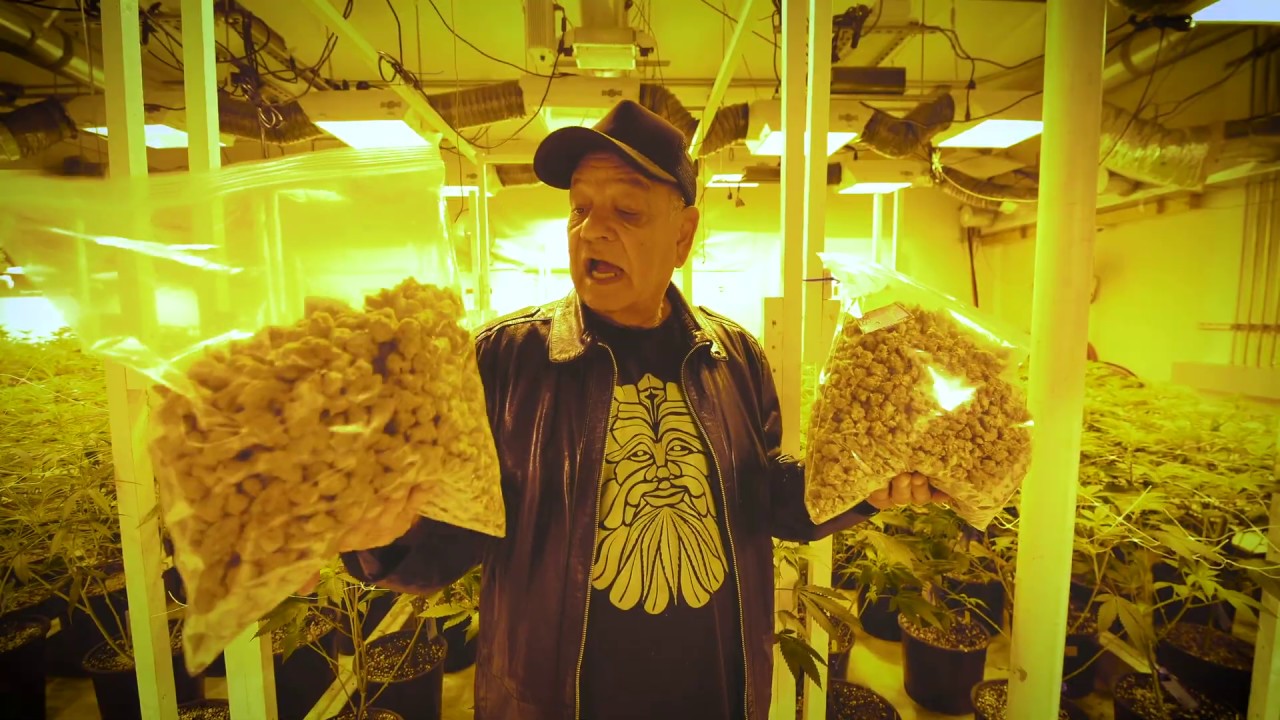 Cheech's Stash - Root Growth