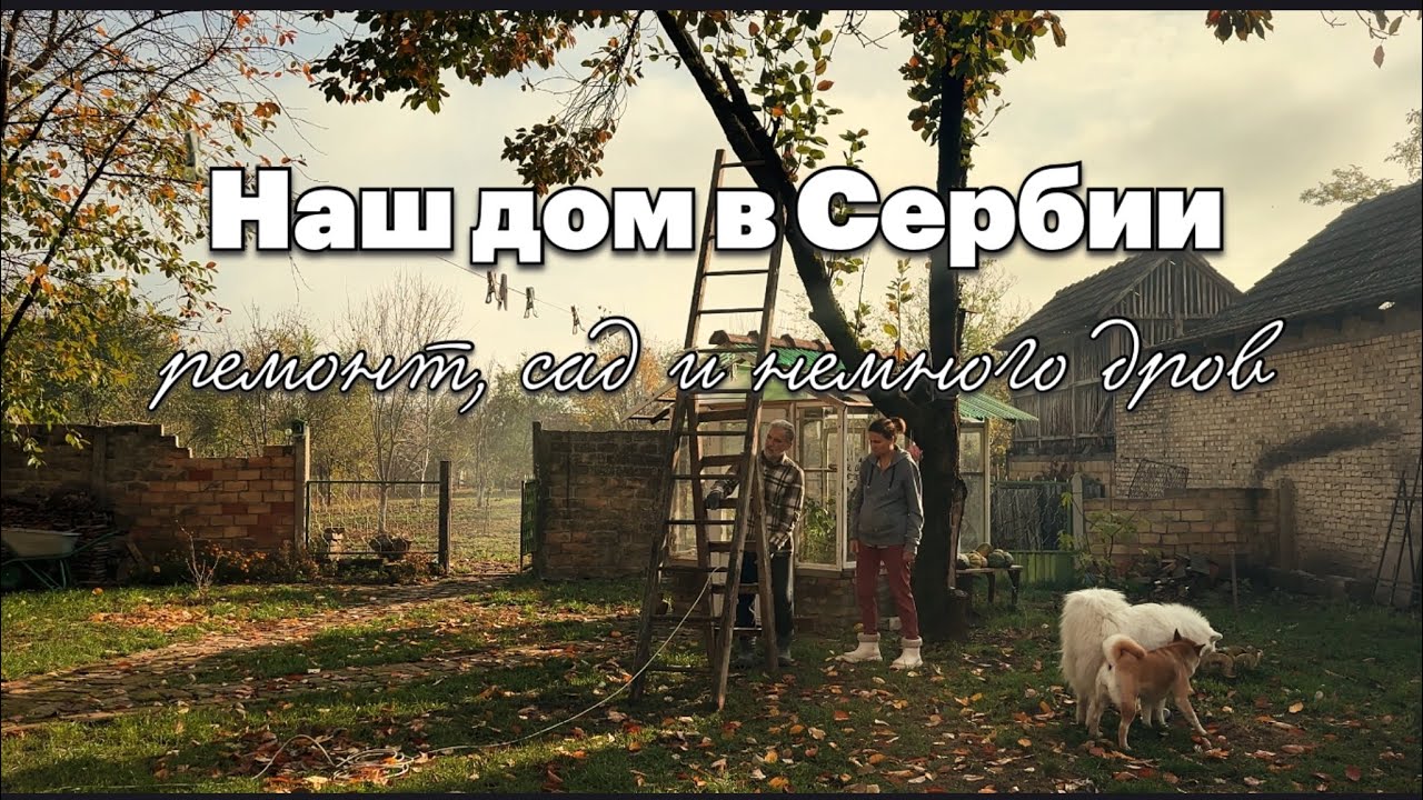 Ремонт идёт! Готовим ванную к покраске, спилили вишню и посадили персики #домвсербии #ремонтвдоме 