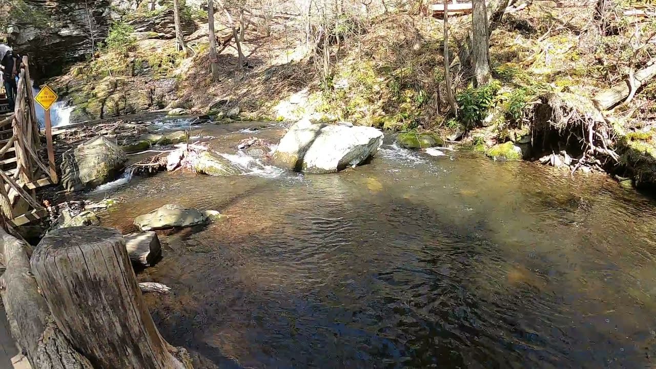 Bushkill Falls Trails - The Hike