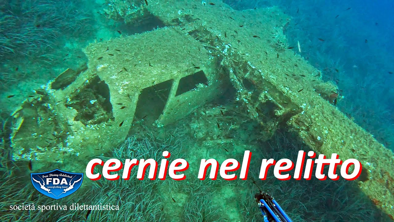 cernie nel relitto ad ottobre