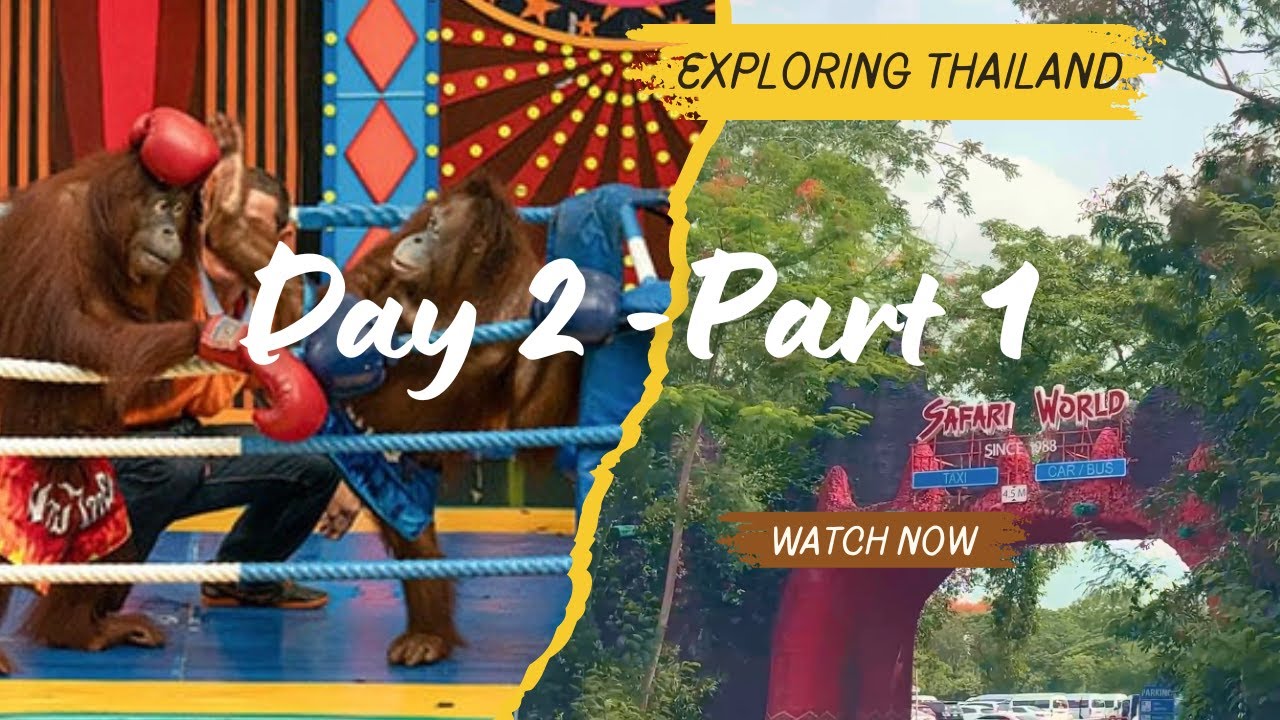 Thailand Safari World Adventure 🐵 | The Orangutan Show ! | Part 1 #youtube #video #trending