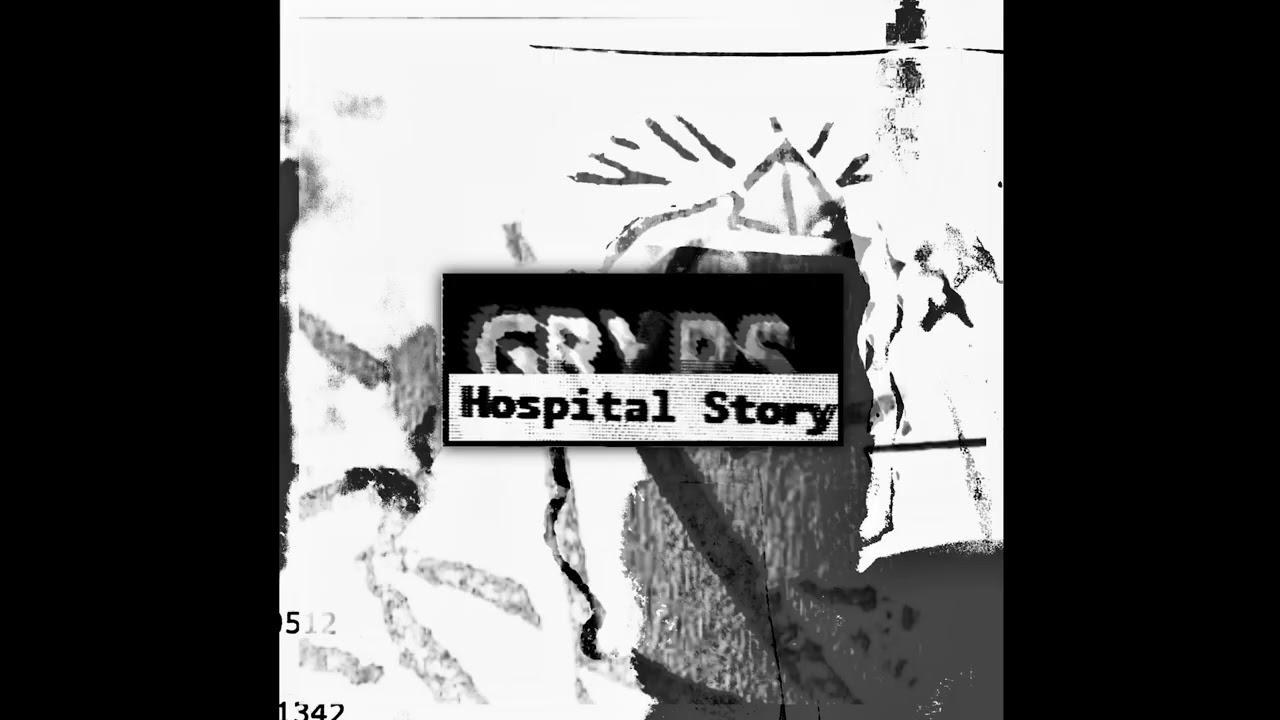 GRYPS - Hospital Story