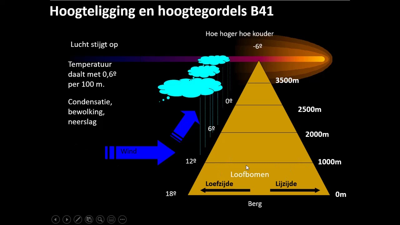 Hoogtegordels