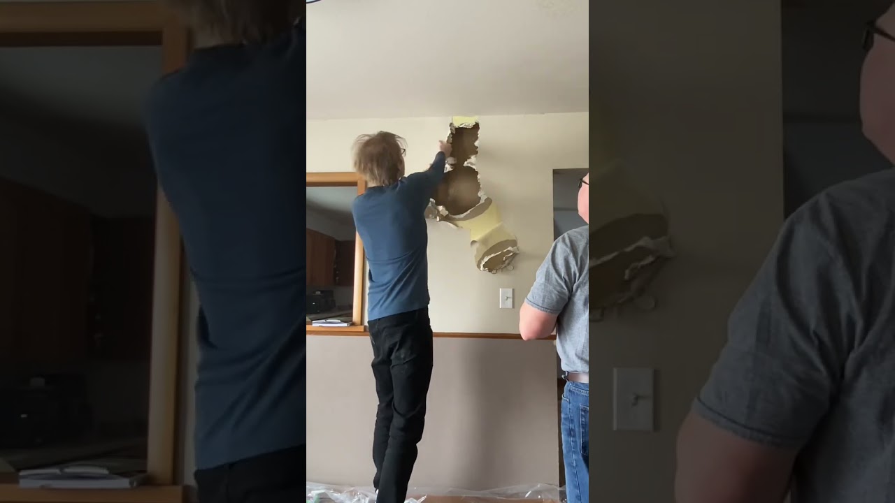 Dream kitchen revealed: renovation goals #kitchenrenovation #homeowner