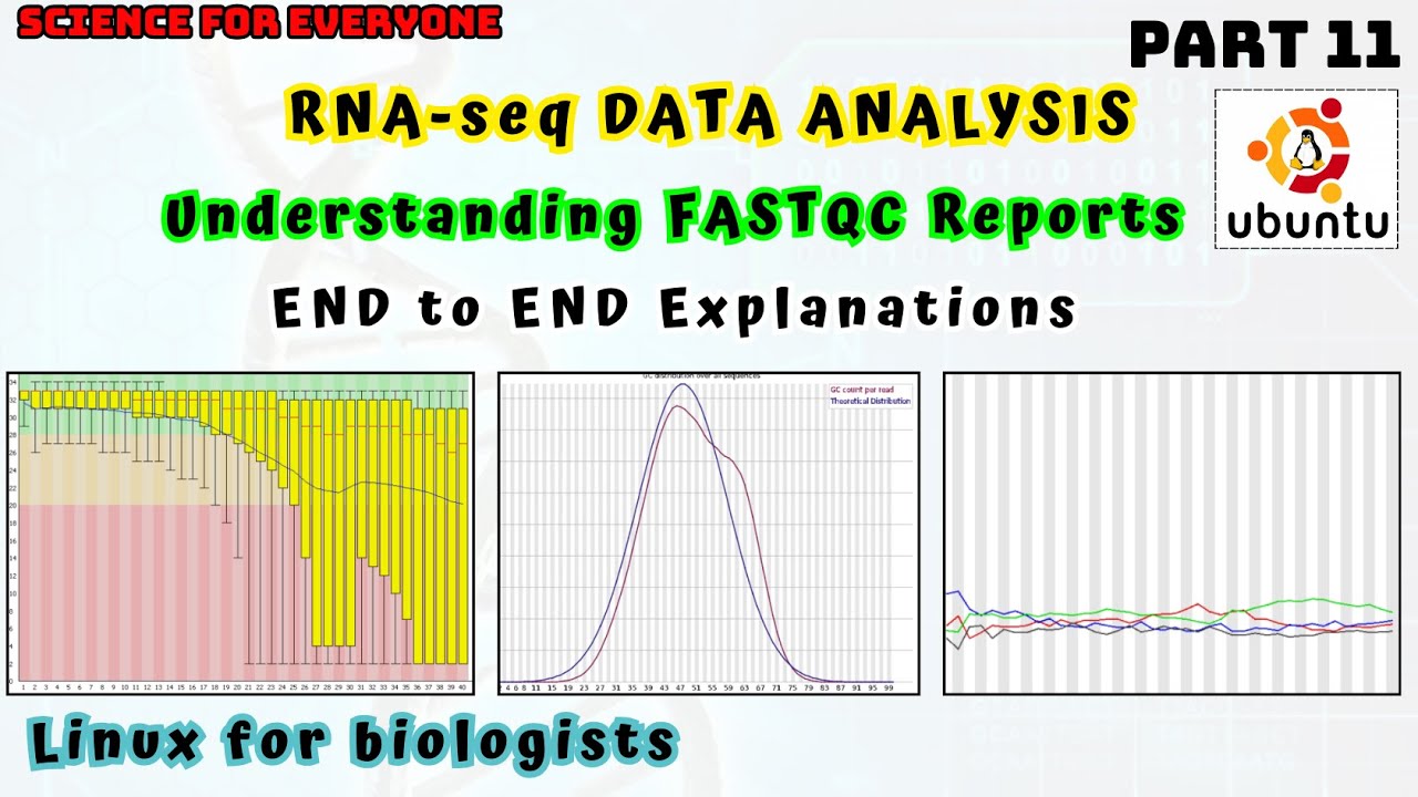 Understanding the concepts behind FASTQC reports | Complete Explanation