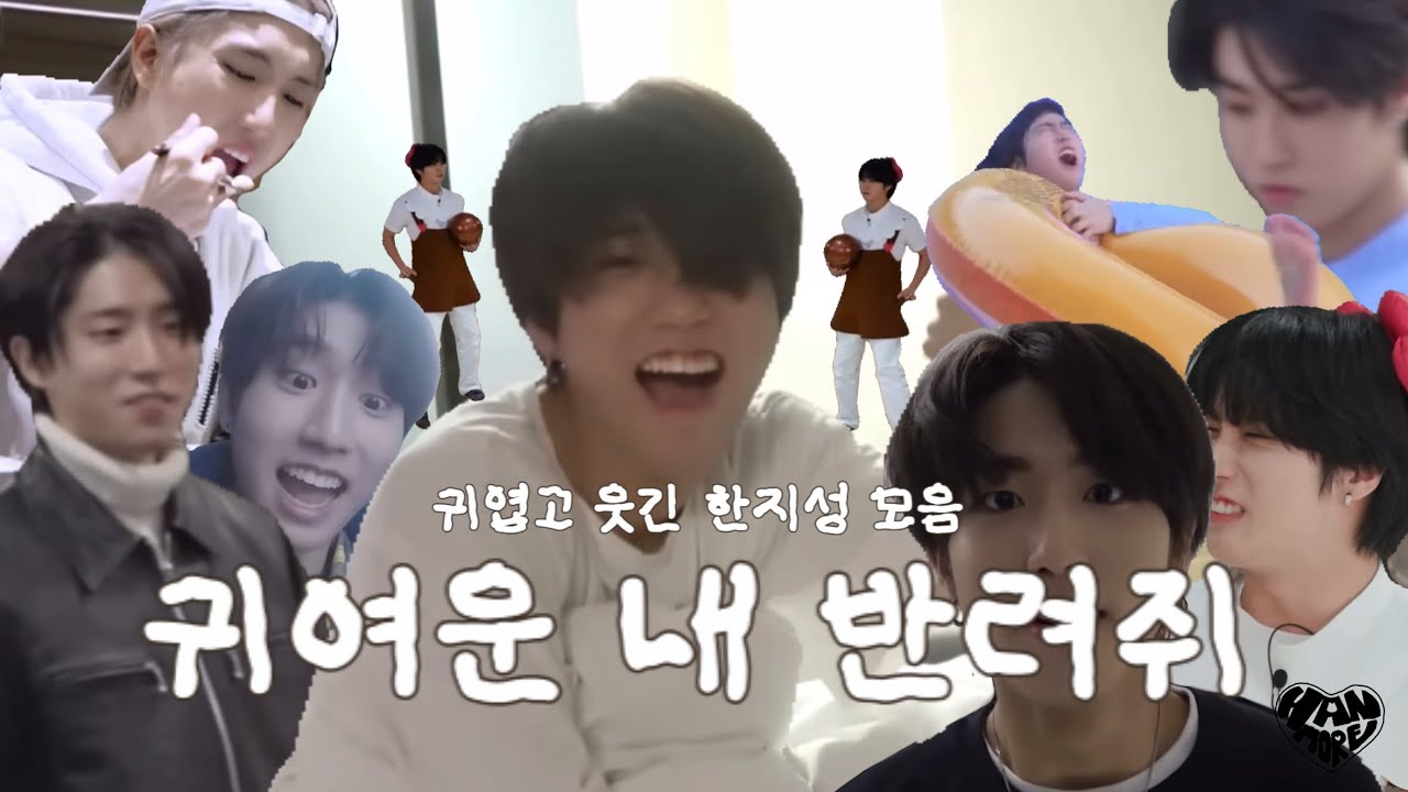 귀엽고 웃긴 한지성 모음🐹 | Stray Kids HAN