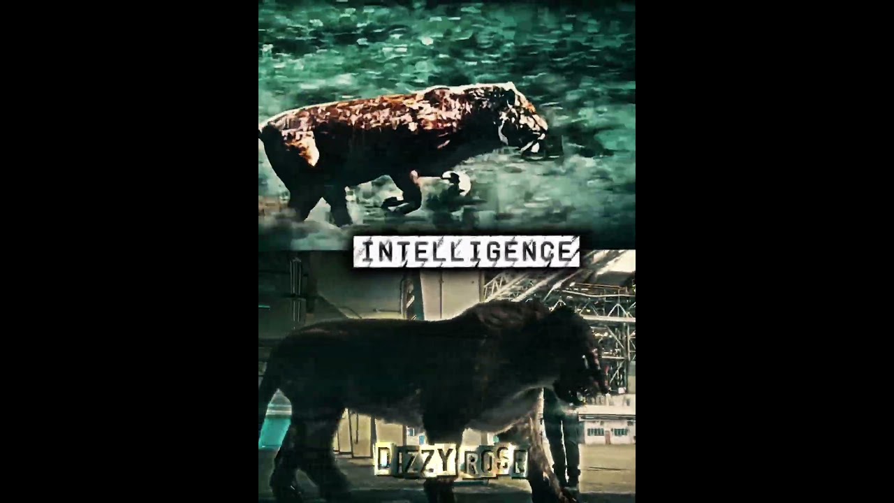 Smilodon populator vs American lion #paleontology #mammals #vs #edit #1v1 #prehistoric #lion