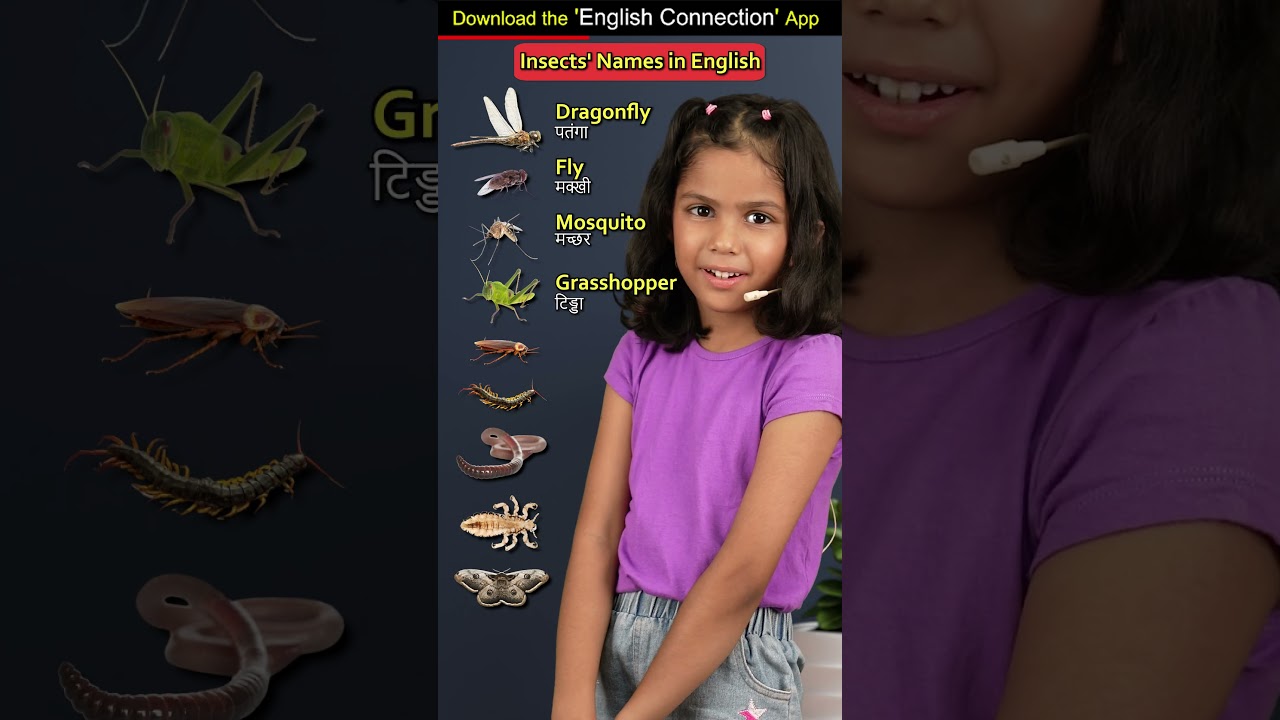 Names of Insects in English | Kids Videos for Kids | Adi Keshari | Adi Connection English #shorts