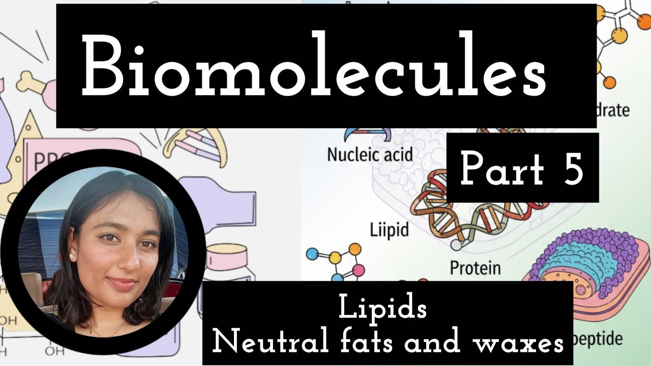Lipids || Neutral fats and waxes || Biomolecules Part 5