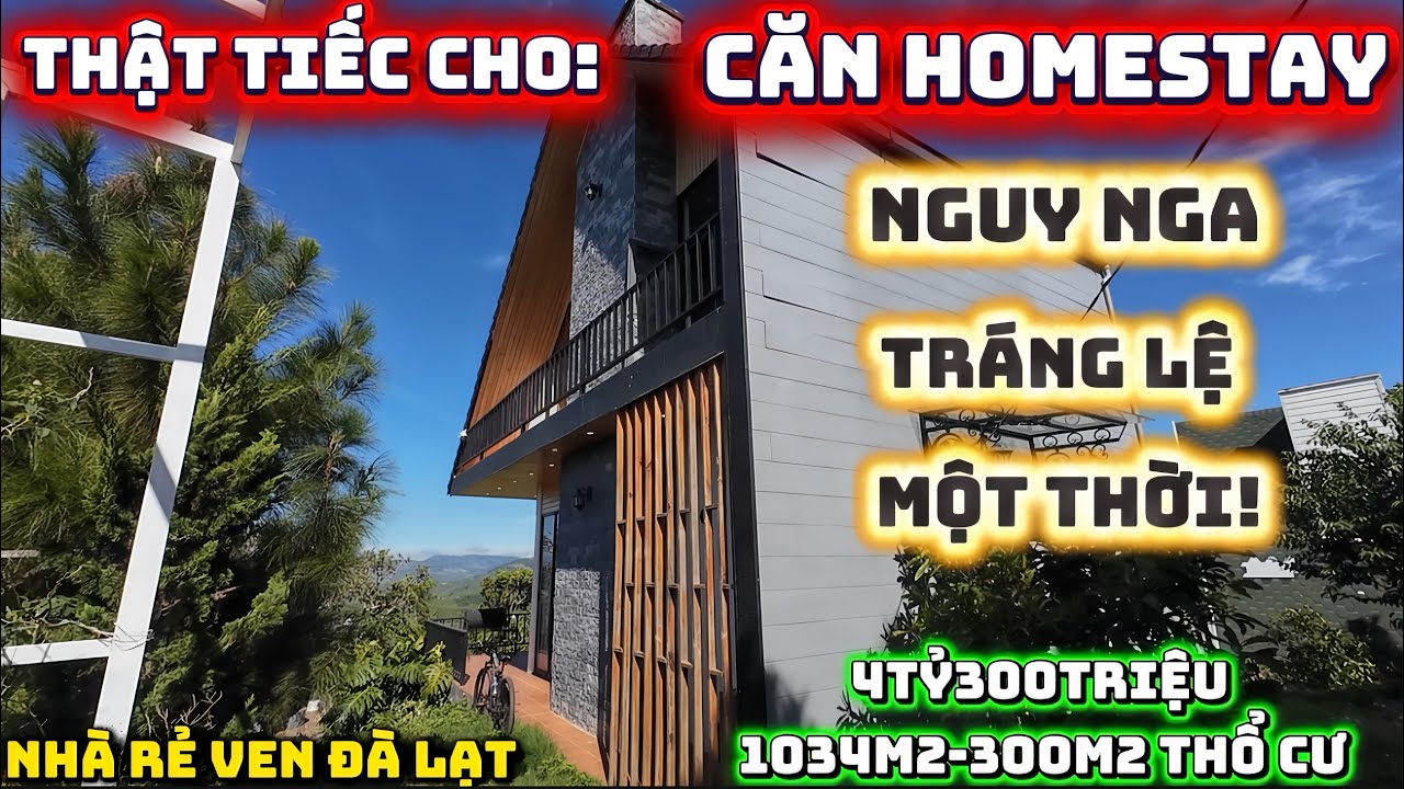 Nhà ven Đà Lạt|THẬT ĐÁNG TIẾC cho căn homestay nghỉ dưỡng thơ mộng ngày nào giờ bị bỏ rơi k ai chăm 