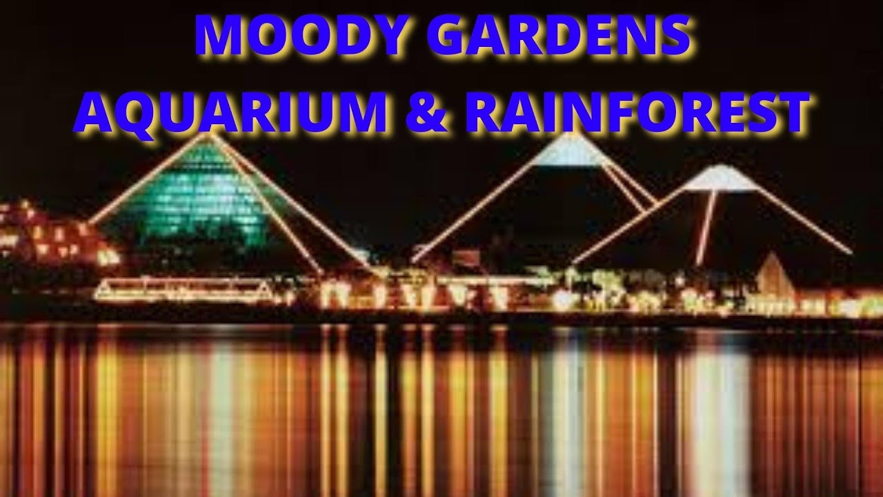 Moody Gardens Aquarium Tour - Moody Gardens Rainforest Pyramids Review