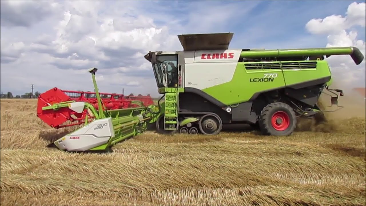 Żniwa 2020/Pszenica/4 x LEXION/GR Ptaszkowo/Kotowo