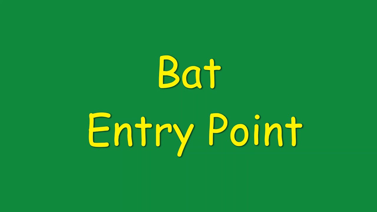 Bat Entry Point :  What Does One Look Like?