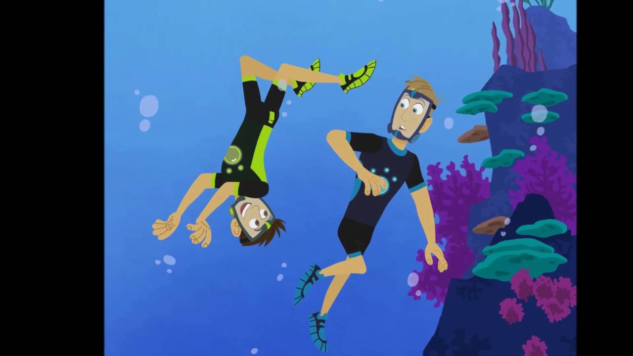 Wild kratts Phoenix