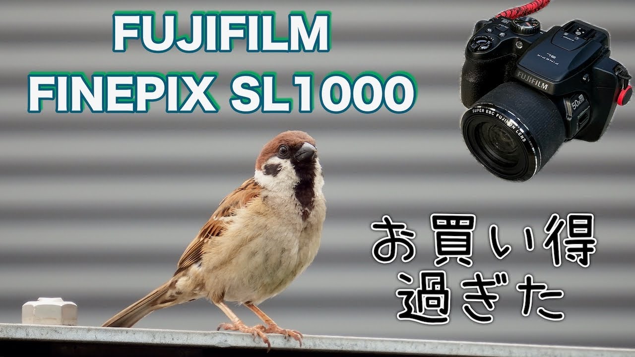 なんとなく買って大正解【FINEPIX SL1000】